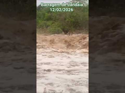 🇧🇷 UMA AVALANCHE D'ÁGUA ENTRANDO NA BARRAGEM DE JANDAIA, TABULEIRO, PARAÍBA 12/02/2026 #chuvas #temp