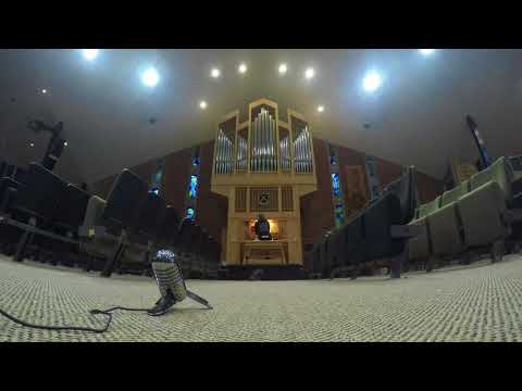 This is what happens when you turn on a Pipe Organ