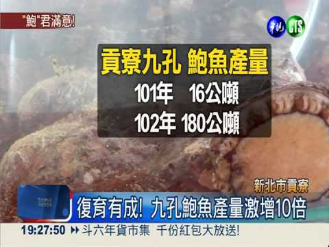 貢寮九孔鮑魚祭 海鮮料理飄香!