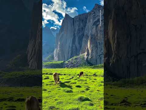 Most Beautiful Places In Pakistan 🇵🇰 #nature #travel #pakistan