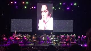 Elvis in Concert 2017 - If I can dream 1