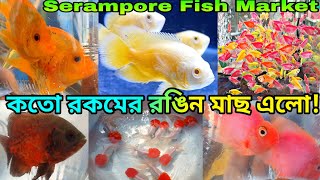 শ্রীরামপুর রঙিন মাছের হাট | Serampore Fish Market | Shrirampur Fish Market|Near Me Fish Market