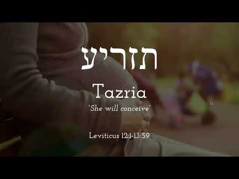 Tazria - Free Biblical Hebrew Lessons, Learn Trope