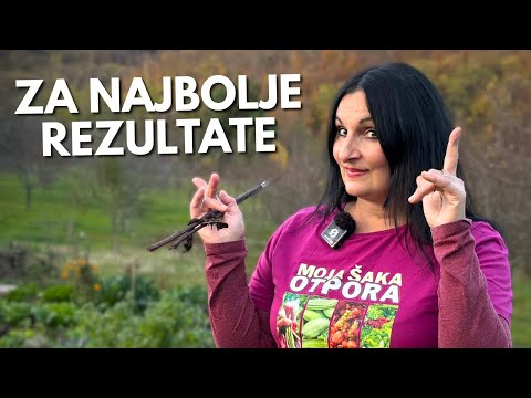 6 Types of Perma Models – Maintenance Tips