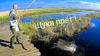 Рыбалка на подъемник паук с берега