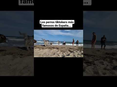 Cuando vas a la playa y...🤣