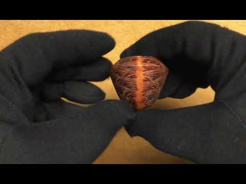 Pipa Amorelli Sunrise - Light Bent Bulldog