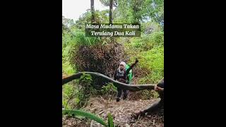 Download lagu story wa pendaki menuju puncak gunung talamau mp3