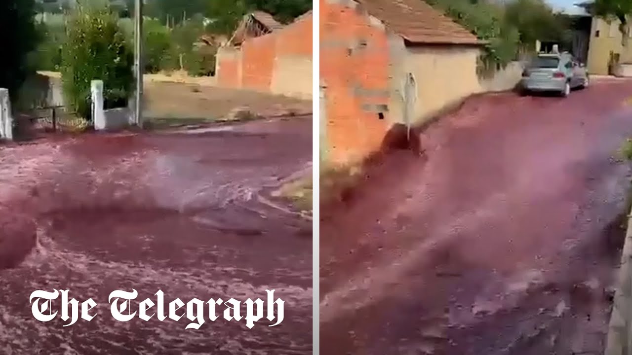 Dois milhões de litros de vinho tinto inundam as ruas de uma aldeia