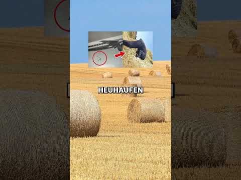 So viel glück hätte ich auch gerne 🍀 #selak #frane #glück