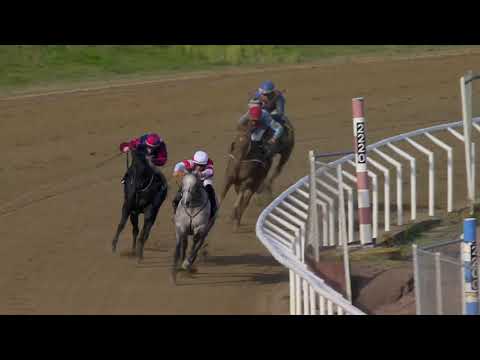 Peas And Carrots Mile (L) 2021 - Plantstepsdream