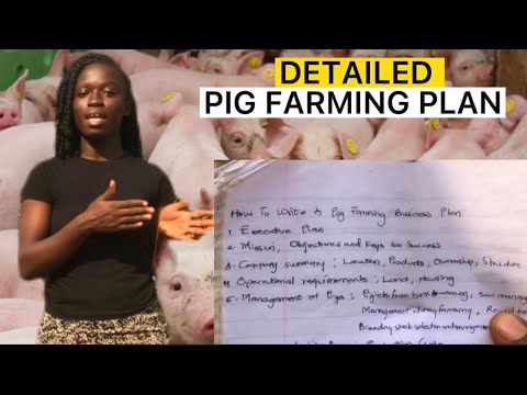 , title : 'A very practical Pig Farming Business Plan'