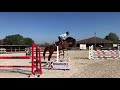 Le cheval qui donne confiance : Lovely Boy AD