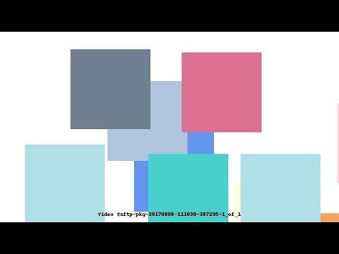 Video #sftp-pkg-20170808-111030-387295-1_of_1