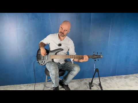 5-струнная бас-гитара IBANEZ SR305EB WK - фото 2 - id-p1868293064