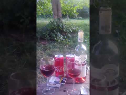 Aniversarea 16ani neli