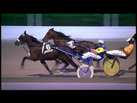 Napoli Trotto 02/10/2021 - 7ª corsa