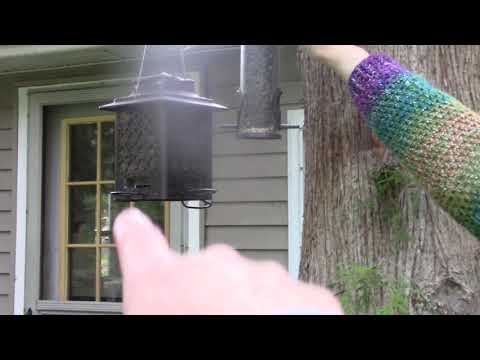 Its Amazing How Our Mind Fools Us With Sounds