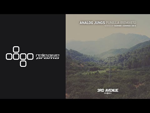 PREMIERE: Analog Jungs - Punilla (Mariner + Domingo Remix) [3rd Avenue]
