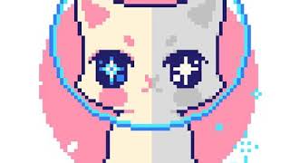 Gif cat (no sponsored video)
