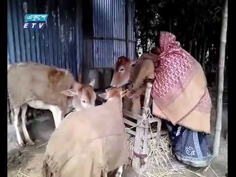 উত্তরের জেলাগুলোতে বইছে শৈত্য প্রবাহ