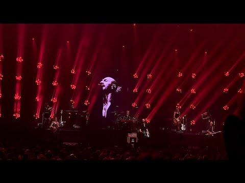 Calogero A.M.O.U.R Tour en direct Decembre 2024 Zenith de Nantes LIVE