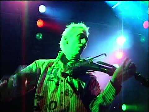 Levellers  -  Waking The World