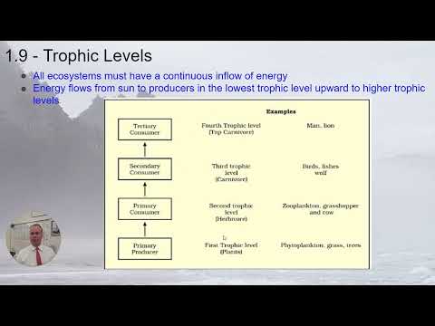 APES - 1.9 Trophic Levels