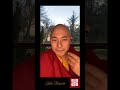 Tulku