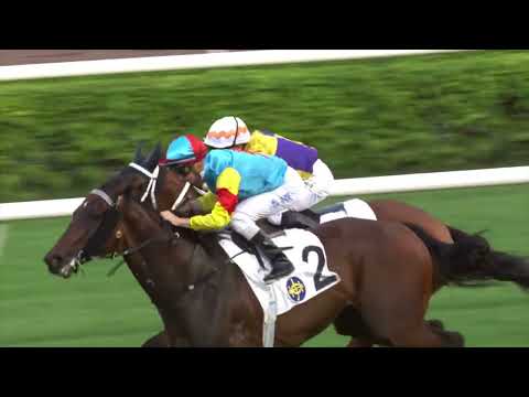 25/9/2022 (46) Fantastic Treasure - Z Purton