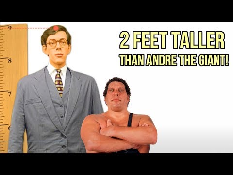 download lagu mp3 mp4 Robert Wadlow Weight, download lagu Robert Wadlow Weight gratis, unduh video klip Robert Wadlow Weight