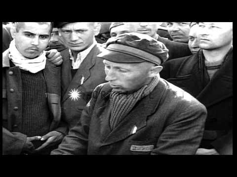 Father Michalowsky, a Polish priest, talks about his experiences as a prisoner of...HD Stock Footage