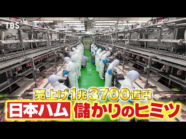 がっちりマンデー！！社長出演！日本ハム！売上げ１兆円超の秘密！㊙鶏舎にＴＶ初潜入