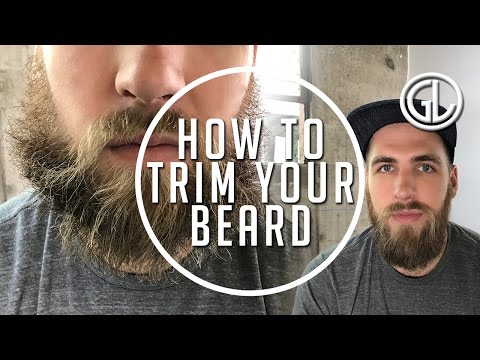 download lagu mp3 mp4 How To Keep Your Beard In Shape, download lagu How To Keep Your Beard In Shape gratis, unduh video klip How To Keep Your Beard In Shape