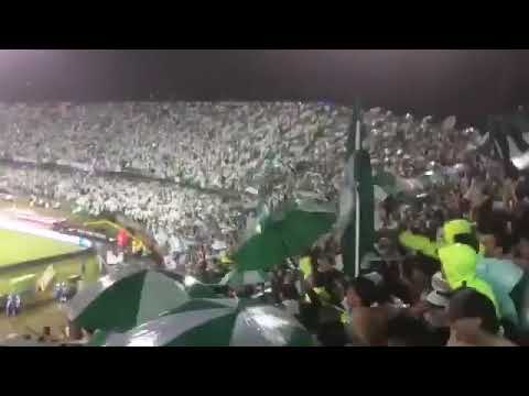 "Himno a nuestros hijos | LOS DEL SUR | Atlético Nacional 2-0 aBerica de cali" Barra: Los del Sur • Club: Atlético Nacional