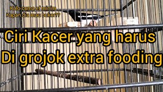 Download lagu how to see if mbagong is over or undersexed mp3