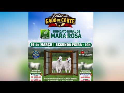 LEILÃO GADO DE CORTE - SINDICATO RURAL DE MARA ROSA 16/03/2026