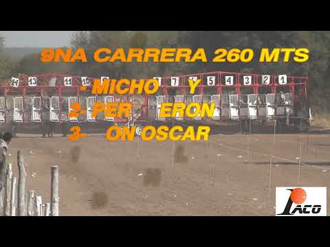 PERCHERON EL PANGARE CRUZ DEL EJE 10 7 2022