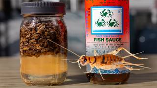 Ich habe Fischsauce aus Grillen gemacht … Darum würde ich es wieder tun