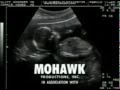 Jobsite Productions Mohawk Productions Inc Warner Bros Television High Pitch