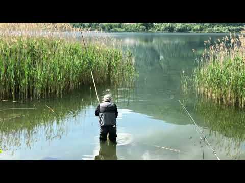 intorno al lago suoni e colori