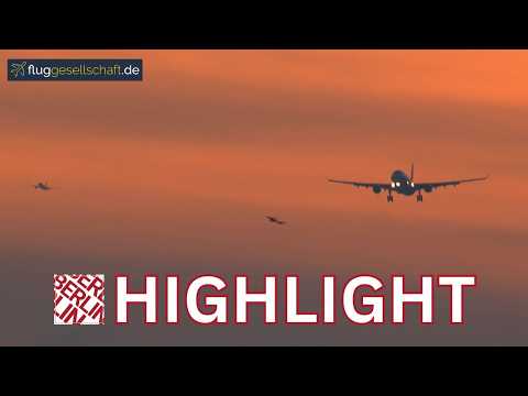 4K Bonus: 🌅 Wundervoller Abendhimmel am BER – Turkish Airlines A330 im goldenen ❄️ Winter-Anflug
