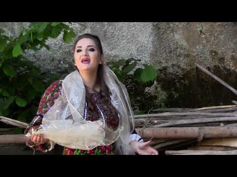 Claudia Nitu - Floricelele in petale