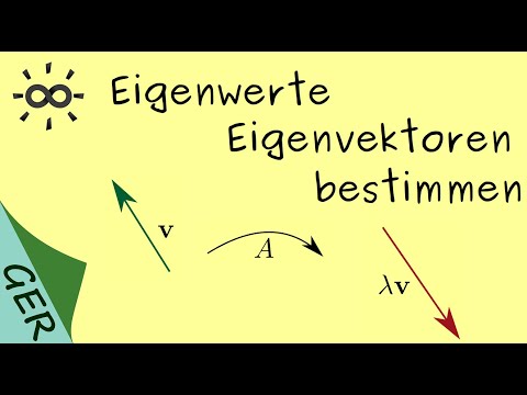 Bestimmung von Eigenwerten und Eigenvektoren einer Matrix