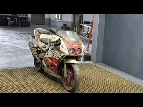 Restoring a 33-Year-Old 20,000 RPM Legend: Ant-Infested CBR250RR