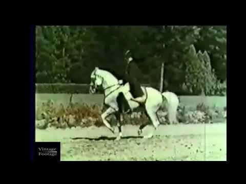 SRS Hofreitschule Wien | 1944 | Spanish Riding School