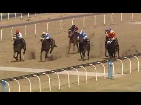 Singing In Seattle ...