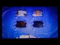 La Era Del Hielo Ice Age DVD Menu 2002 Remake 2025