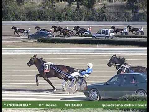 2^ CORSA  del 21 FEBBRAIO 2017