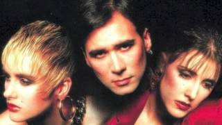 HUMAN LEAGUE Shameless